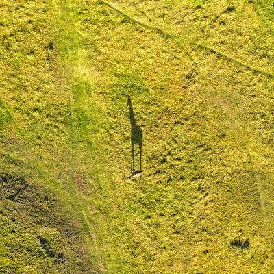 绿色草地鸟瞰图